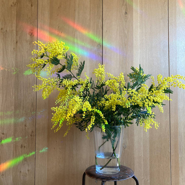 Regenbogen Aufkleber - Keep going to keep growing