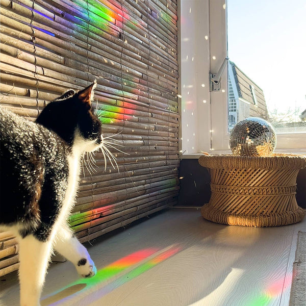 Regenbogen Aufkleber – Pflanzenparadies